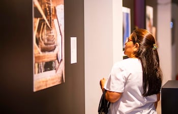 Mujer de perfil con cabello largo y lacio, blusa clara y gafas, observando una fotografía enmarcada en la galería.