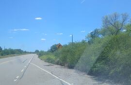 Los arbustos en las banquinas evitan una buena visibilidad a los conductores.