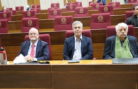 Exponentes del sector energético Fabián Cáceres, Pedro Ferreira y Ricardo Canese en la Audiencia Pública realizada en el Congreso sobre "a revisión del Anexo "C".