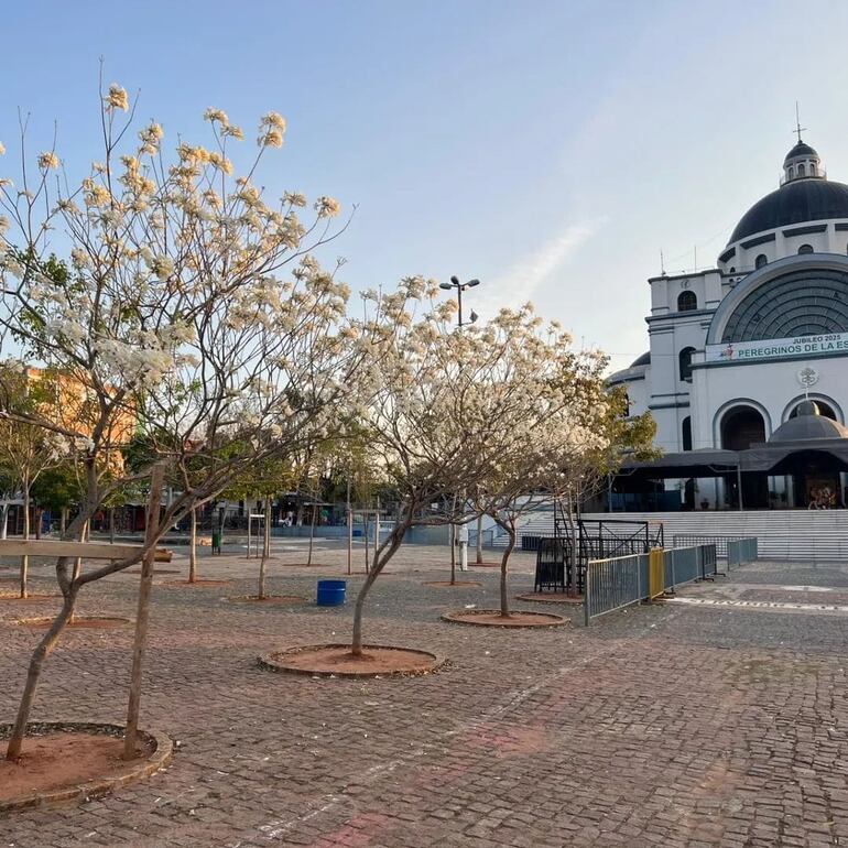 Ahora la explanada la basilica luce un maravilloso ambiente natural.