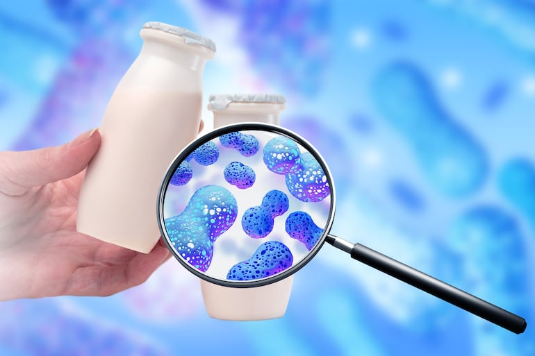 Microbiota y peso: relación entre las bacterias de tu intestino y la facilidad para quemar grasa.