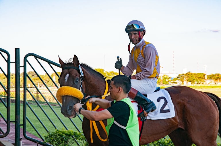 Arielo (Acteón) del stud Pamina, excelente adulto clasiquero, vio 7 coloradas este año. Coronel, el jockey, se consagró entre los pilotos.
