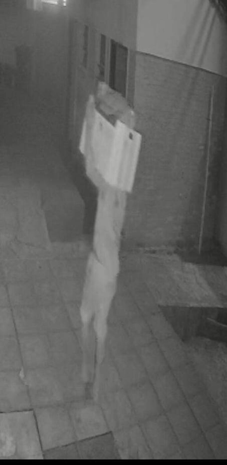 El hurto quedó registrado por las cámaras de seguridad de la escuela.