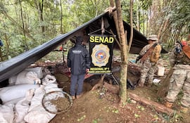 Agentes de la Senad hallaron más de 10 toneladas de marihuana y varios campamentos narcos en Cerro Corá.