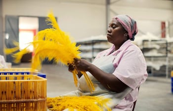 El proyecto de un teatro londinense de reservar el acceso de dos representaciones de una pieza teatral sobre la esclavitud al público negro, desató críticas el jueves e hizo reaccionar al gobierno conservador, que señaló era “fuente de división”.