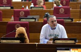 Un carpincho de peluche ocupó la banca de Eduardo Nakayama en la sesión de hoy.