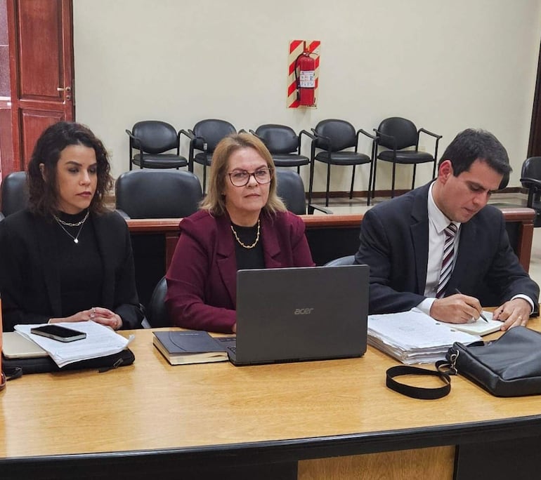 Los representantes del Ministerio Público, los agentes fiscales Ministerio Público intervinieron los agentes fiscales Eladio Cohene, Irene Rolón y Mercedes Vera, Fiscales: Eladio Cohene
Irene Rolon y la titular de la investigación y coadyuvante designada por la Fiscalía General del Estado.
