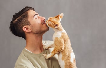 ¿Por qué mi gato me muerde el pelo o la cara?