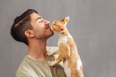 ¿Por qué mi gato me muerde el pelo o la cara?