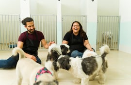 Guardería para perros.