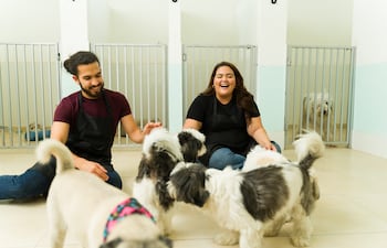 Guardería para perros.