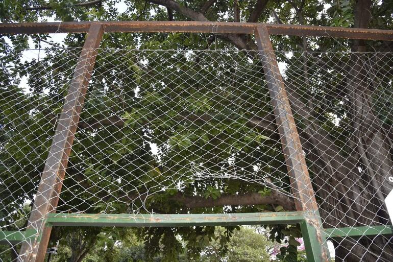 Marco de portería de fútbol deteriorado rodeado de vegetación en un parque al aire libre.