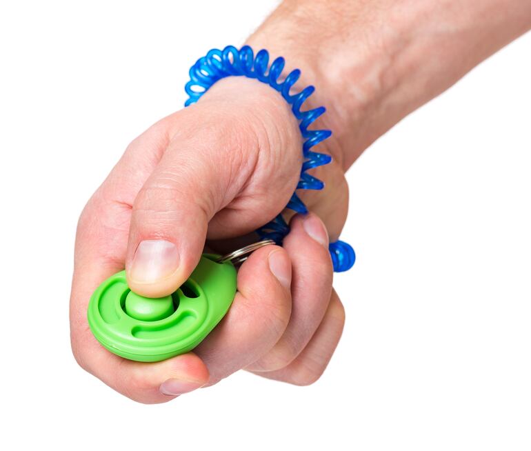 Adiestramiento con clicker.