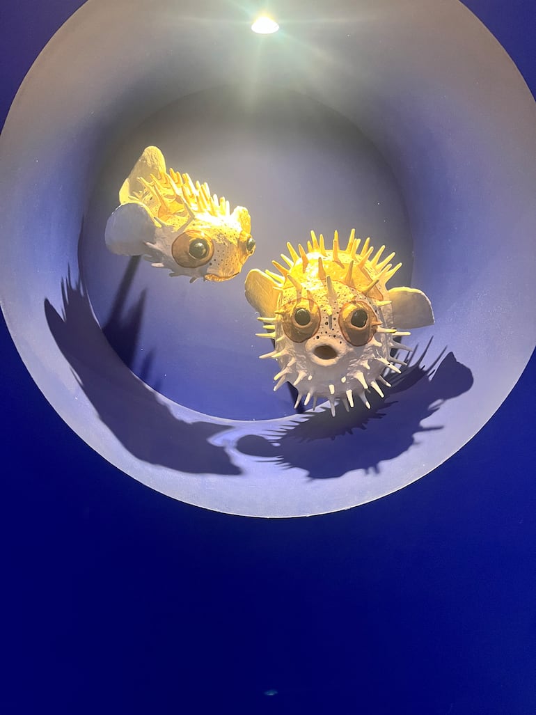 Museu do Amanhã, Río de Janeiro, Brasil.