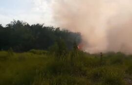 Incendio forestal en la ciudad de Nueva Italia.