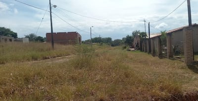 Exigen limpieza en patio baldio de Caacupé