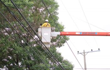Poda de árboles de la ANDE.