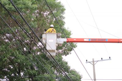 Poda de árboles de la ANDE.