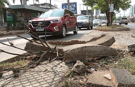 El paseo central de la Avda. Mcal. López se encuentra en pedazos.