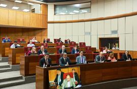 Sesión de la Comisión de Asuntos Constitucionales de la Cámara de Senadores. (Gentileza)