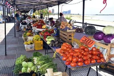 Frutas, verduras, ropas y otros productos fueron ofertados en la Costanera de Asunción, por vendedores del Mercado 4.