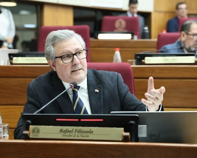 Rafael Filizzola (PDP). Foto Prensa Senado