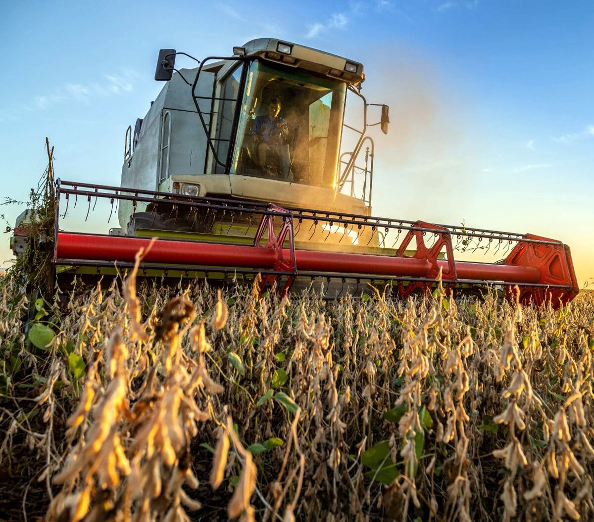 UGP advierte que nuevas normas de la UE pueden convertirse en barreras comerciales para Paraguay