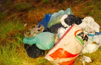 Recolectores de basura retiraron los desperdicios del camino de la circunvalación.