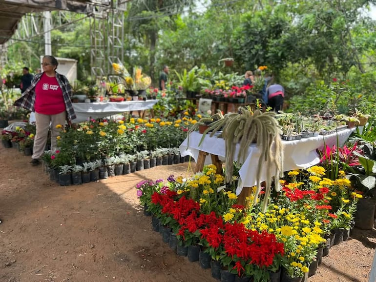 Las flores y sus vibrantes colores atraen a numerosos visitantes, que recorren la expoferia en busca de plantas para embellecer sus hogares.