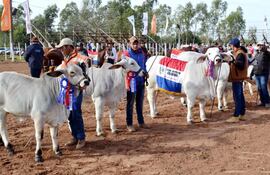 desfile-de-los-animales-premiados-en-la-expo-isla-poi-2018-cuya-inauguracion-oficial-fue-ayer-el-presidente-del-club-rodeo-isla-poi-destaco-el-her-201854000000-1723467.jpg