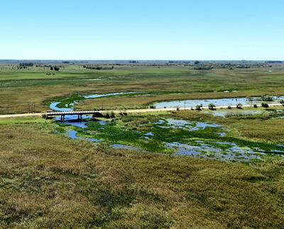 Desean que el Estero Piraguazú en el distrito de Laureles sea declarado área protegida de reserva natural.