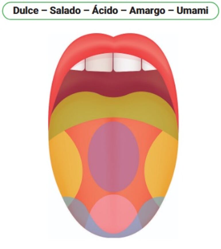 /pf/resources/images/abc-placeholder.png?d=2373