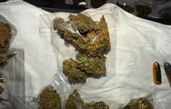 Las porciones de marihuana vip, modificadas genéticamente, que fueron incautadas en Lambaré.