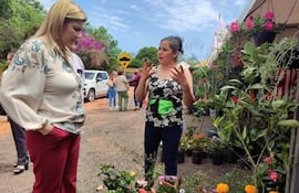 Cada año en septiembre numerosos productores exponen todo tipo de plantas en la compañía Cabañas.