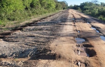 Camino de tierra rodeado de vegetación densa, con baches y charcos bajo una luz soleada en un día despejado.