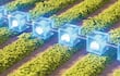 Paraguay abre las puertas para la tokenización del agro.