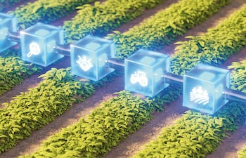Paraguay abre las puertas para la tokenización del agro.