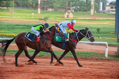 Los clásicos "Jockey Club del Paraguay" para Hembras y Machos se correrán este domingo, sobre 1.800 metros del hipódromo de Asunción.