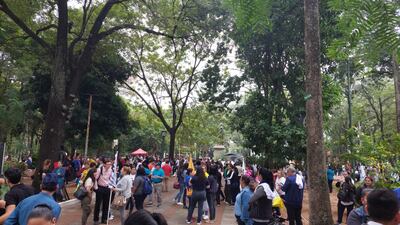 Docentes se movilizan en contra de la ley de carrera civil: