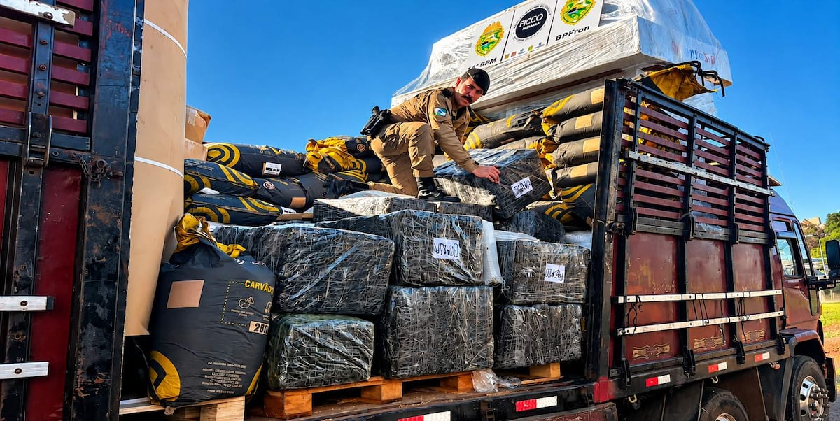 Brasil: incautaciones de marihuana en la frontera crecen un 228 % en diez años Brasil: incautaciones de marihuana en la frontera crecen un 228 % en diez años