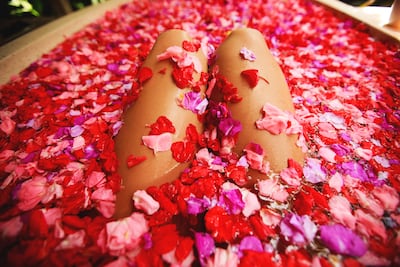 Concepto de autoplacer.