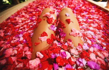 Concepto de autoplacer.