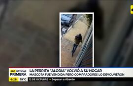 La perrita "Alodia" volvió a su hogar