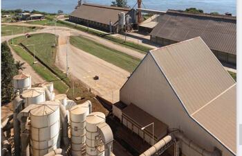 La industria aceitera paraguaya apunta a la implementación de una política industrial para recuperar sus condiciones de competitividad.