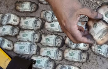 Los dólares quemados que se encontraron junto a la narcoavioneta incendiada en el parque nacional Paso Bravo de Concepción.