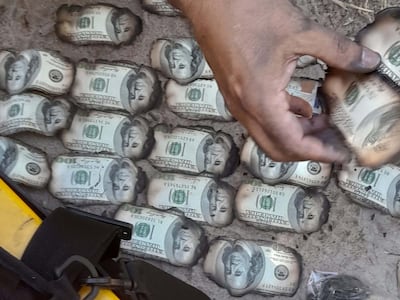 Los dólares quemados que se encontraron junto a la narcoavioneta incendiada en el parque nacional Paso Bravo de Concepción.