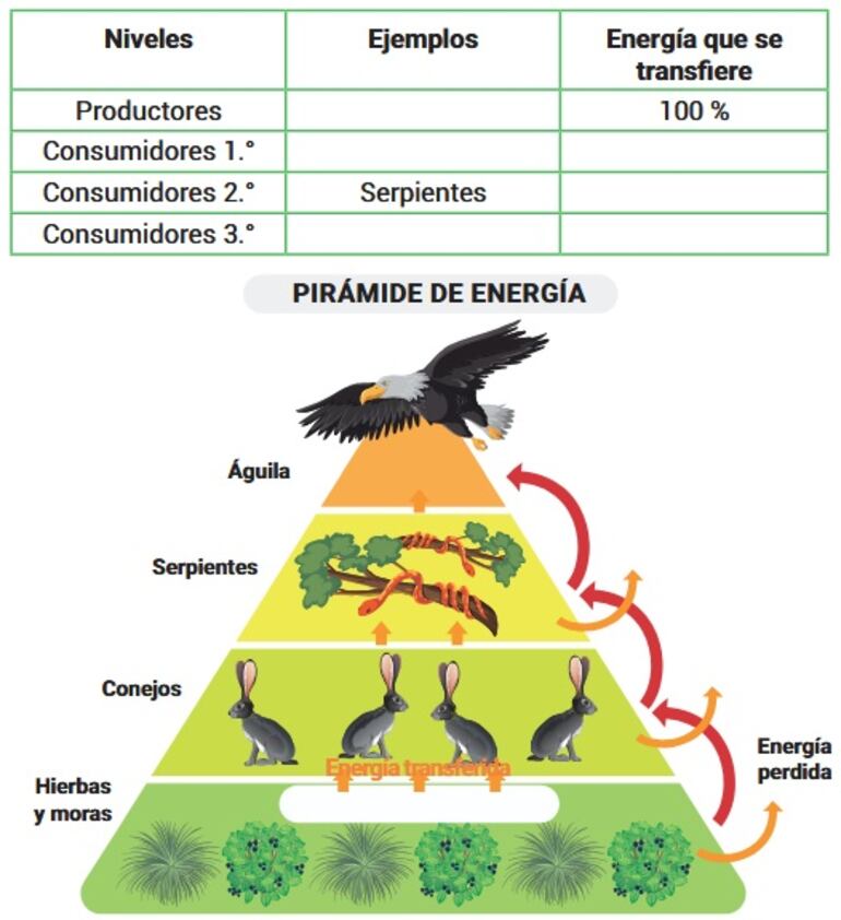 /pf/resources/images/abc-placeholder.png?d=2389