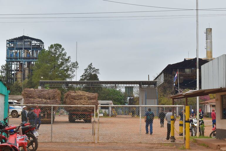 Productores vuelven a ingresar la caña dulce para el acopio en Petropar.
