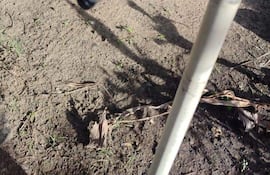 Falta de agua potable genera reclamos de vecinos de San José Obrero de Ayolas.