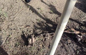 Falta de agua potable genera reclamos de vecinos de San José Obrero de Ayolas.